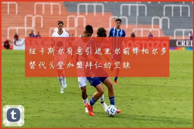 纽卡斯尔有意引进里尔前锋帕尔多替代戈登加盟拜仁的空缺