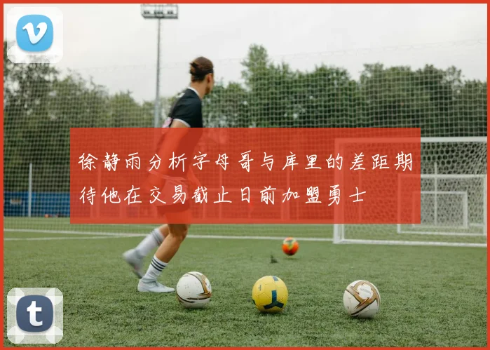 徐静雨分析字母哥与库里的差距期待他在交易截止日前加盟勇士